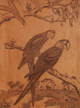Grands arras Amazonie 1986 Sur le site d’ARTactif