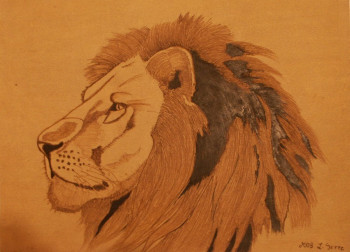 regard de lion 2008 Sur le site d’ARTactif