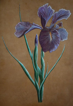Iris 2011 Sur le site d’ARTactif