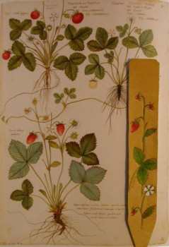 marque page fraise des bois Sur le site d’ARTactif