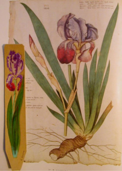 marque page Iris Sur le site d’ARTactif