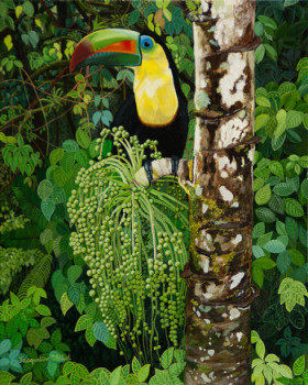 Œuvre contemporaine nommée « Toucan dans la jungle du Costa Rica », Réalisée par JACQUELINE VERNAY-MILLOT