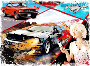 Œuvre contemporaine nommée « Mustang », Réalisée par PASCAL LENOBLE