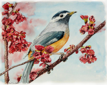 Œuvre contemporaine nommée « Oiseau sur le pommier », Réalisée par PASCAL LENOBLE
