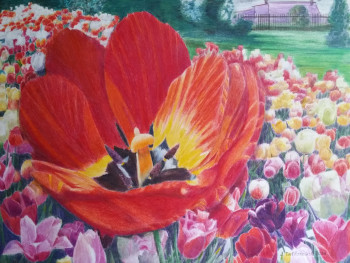 TULIPES Sur le site d’ARTactif