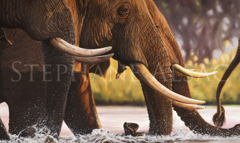 Œuvre contemporaine nommée « "Elephants Crossing" », Réalisée par STéPHANE ALSAC