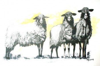 MOUTONS NOIRS Sur le site d’ARTactif