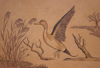 Envol canard pilet Sur le site d’ARTactif