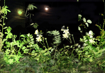 Œuvre contemporaine nommée « Nuit sur le jardin », Réalisée par JEAN PIERRE  BERTAINA