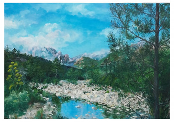 Œuvre contemporaine nommée « Aneth et point d'eau (Aiguilles de Bavella - Corse) », Réalisée par NOëLLE HUIN