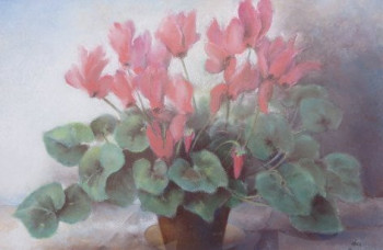 Le grand cyclamen Sur le site d’ARTactif