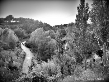 Le tour du lac Sur le site d’ARTactif