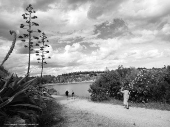 Le lac 7 Sur le site d’ARTactif