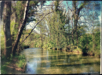 Nature 2 Sur le site d’ARTactif