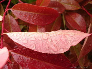 Goutte à goute Sur le site d’ARTactif