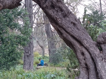 Jardin des plantes extraordinaire Sur le site d’ARTactif