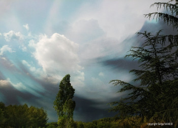 Forest sky Sur le site d’ARTactif