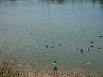 La pêche aux canards Sur le site d’ARTactif