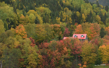 Œuvre contemporaine nommée « LA MAISON DANS LES ARBRES », Réalisée par JEAN-MARC PHILIPPE