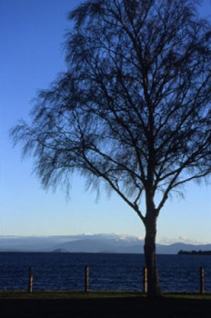 Œuvre contemporaine nommée « Bleu », Réalisée par FLOPHOTOGRAPHE