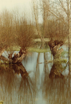 Œuvre contemporaine nommée « Réflexions sur Seine », Réalisée par ADRIENNE JALBERT