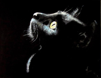 Œuvre contemporaine nommée « CHAT NOIR », Réalisée par VERA