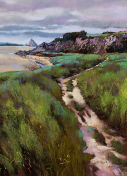 Œuvre contemporaine nommée « Sentier du Grouin du Sud », Réalisée par PATRICK HENRY