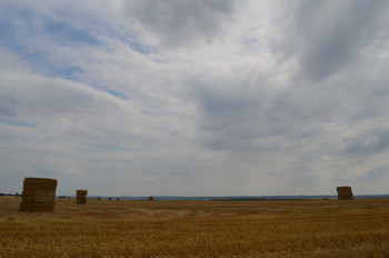 Œuvre contemporaine nommée « Solitude », Réalisée par B2L