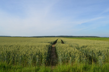 Œuvre contemporaine nommée « Route de l'été », Réalisée par B2L