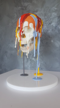 Œuvre contemporaine nommée « Surcharched skull II  », Réalisée par VINCENT DOCTEUR