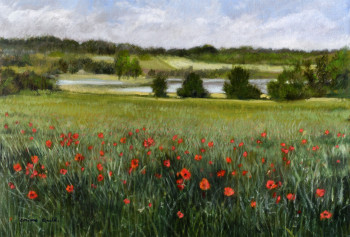 Œuvre contemporaine nommée « ballastières aux coquelicots », Réalisée par CORINNE QUIBEL