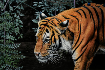 Œuvre contemporaine nommée « Tigre -  40 x 60 cm , hyperrealism, photorealism wild life, wild animal , realistic, wild cat tiger  », Réalisée par ELENA DMITRENKO