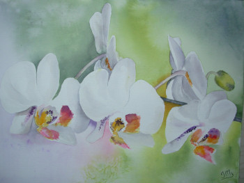Œuvre contemporaine nommée « Orchidées blanches », Réalisée par JACQUES MASCLET