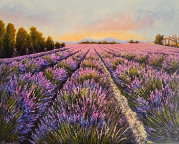 Œuvre contemporaine nommée « Champs de lavandes - VALENSOLE », Réalisée par NADYA RIGAILL