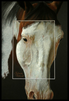 Œuvre contemporaine nommée « Tête Paint Horse », Réalisée par STéPHANIE PéRICAT PASTELLISTE PRO