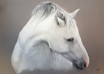 Œuvre contemporaine nommée « Cheval Blanc », Réalisée par MAURON FRéDéRIC