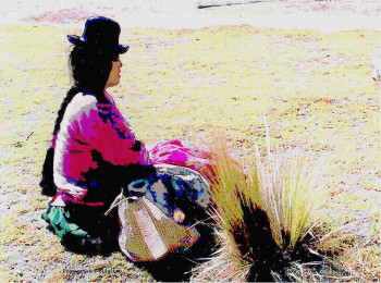 Œuvre contemporaine nommée « Péruvienne au bord du Titicaca », Réalisée par FRANçOISE DELEGLISE