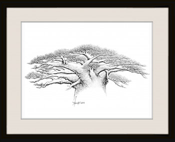 Œuvre contemporaine nommée « Baobab "Tsitakakantsa de Madagascar », Réalisée par JONNY R'AFA