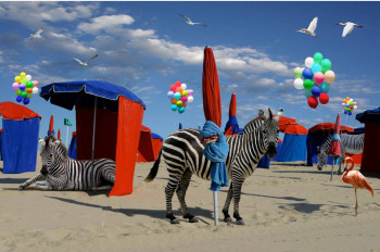 Œuvre contemporaine nommée « Zebra on the beach », Réalisée par PATRICK LE HEC