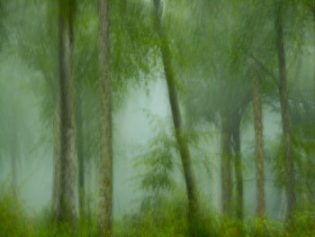 Œuvre contemporaine nommée « Arbres dans la brume........... », Réalisée par PHILIPPE BERTHIER