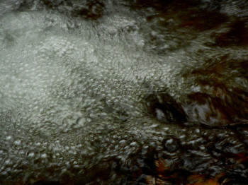 Œuvre contemporaine nommée « CROCODILE FUSION............... », Réalisée par PHILIPPE BERTHIER