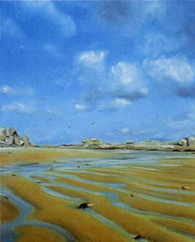 Œuvre contemporaine nommée « Marée basse à Trégastel », Réalisée par VINCENT GOSSELIN
