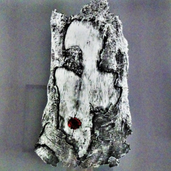 Œuvre contemporaine nommée « Regard en forêt », Réalisée par DUBAT CHANTAL