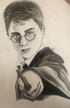 Œuvre contemporaine nommée « Harry Potter », Réalisée par CHARLOTTE LEM