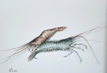 Œuvre contemporaine nommée « Crevettes », Réalisée par VAL.H