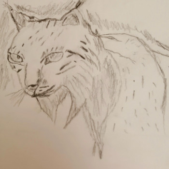 Œuvre contemporaine nommée « Lynx », Réalisée par FRANCIS