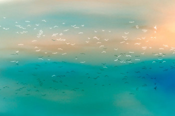 Œuvre contemporaine nommée « Sky Reflection », Réalisée par VéRONIQUE ERRERA