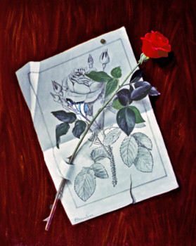 Œuvre contemporaine nommée « Rose et dessin », Réalisée par MICHEL CHEVRETEAU