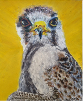 Œuvre contemporaine nommée « Les yeux d Horus », Réalisée par CATY OCCO