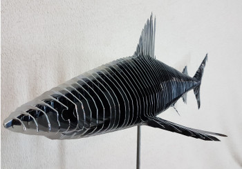 Œuvre contemporaine nommée « Chromium Shark », Réalisée par JEAN-LUC NEGRO